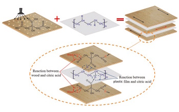 citric acid for plywood